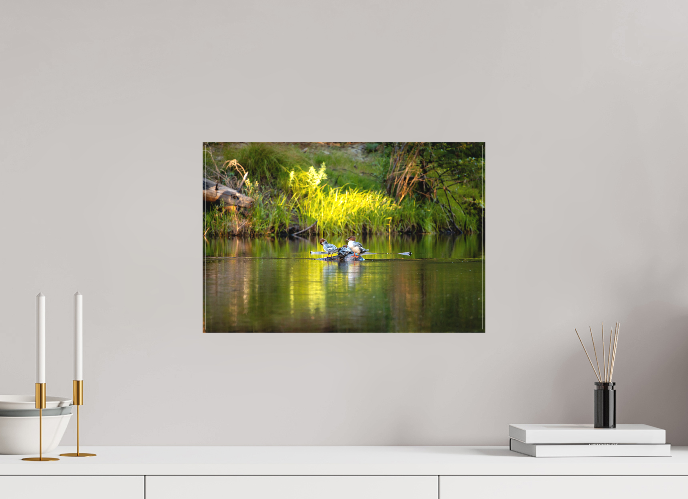 45 x 30 cm, Cadre simple Matte on Stretcher Frame Mergus