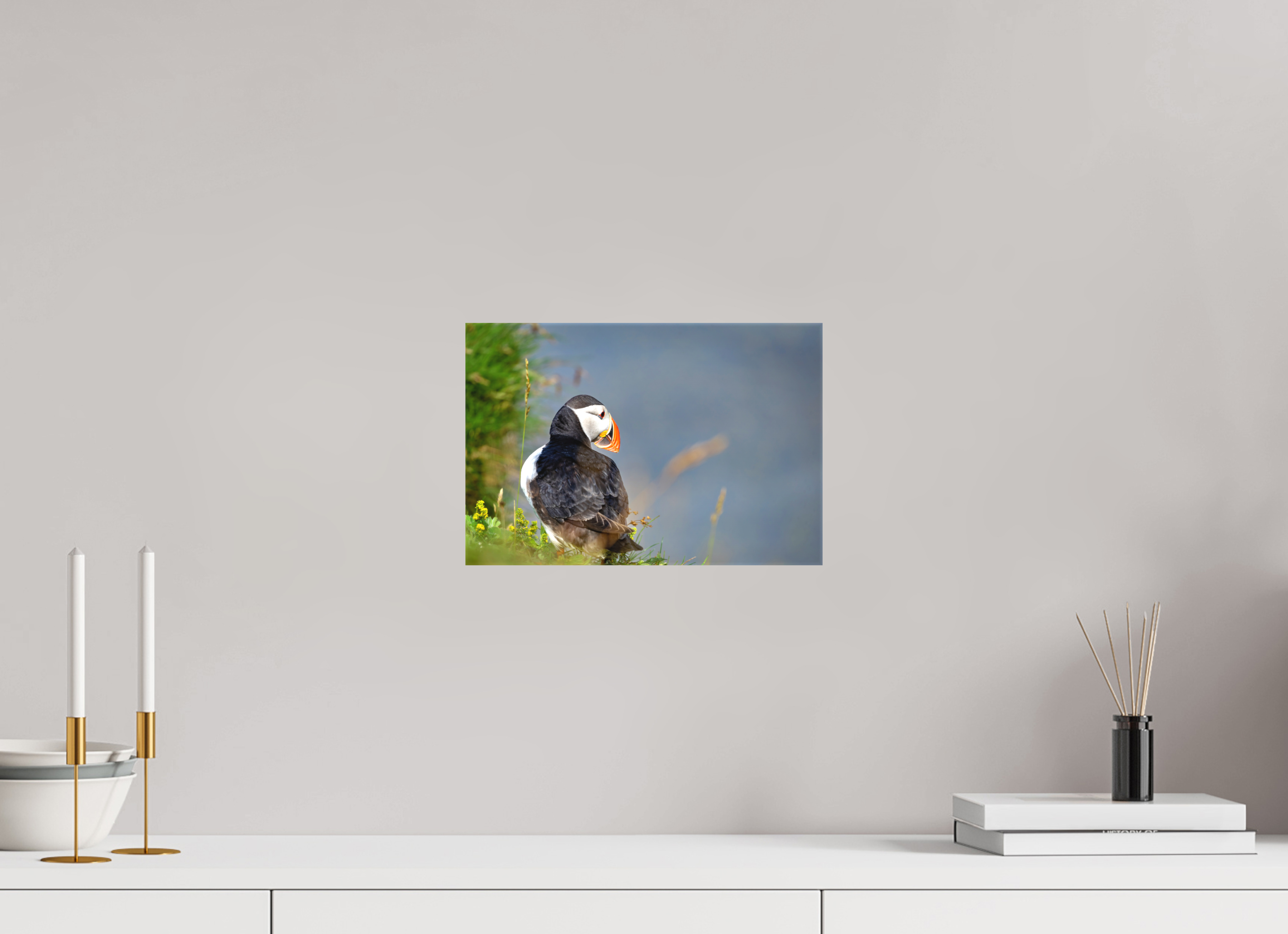 30 x 20 cm, Photo sur toile mate Macareux