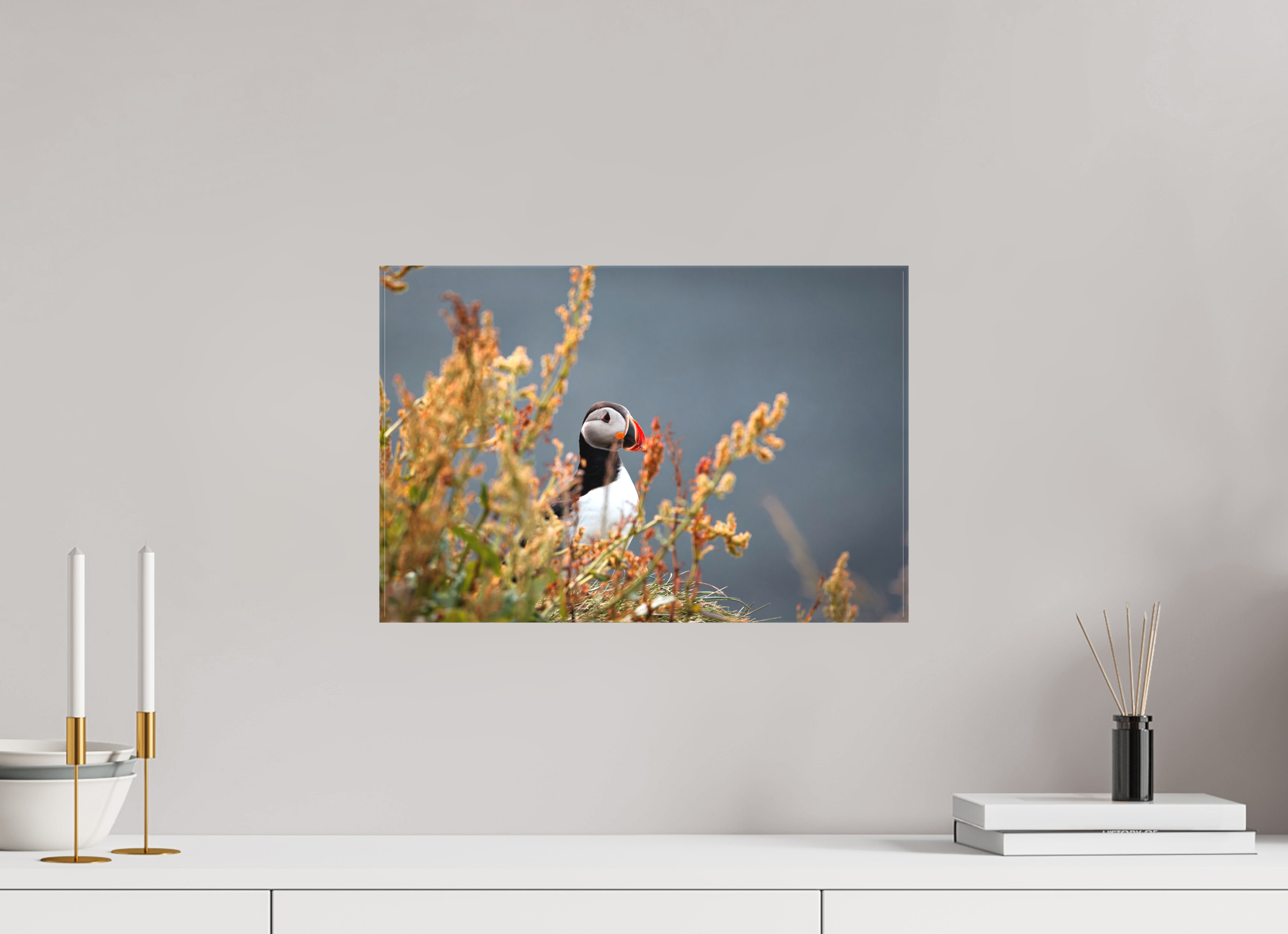 45 x 30 cm, Macareux Macareux 2