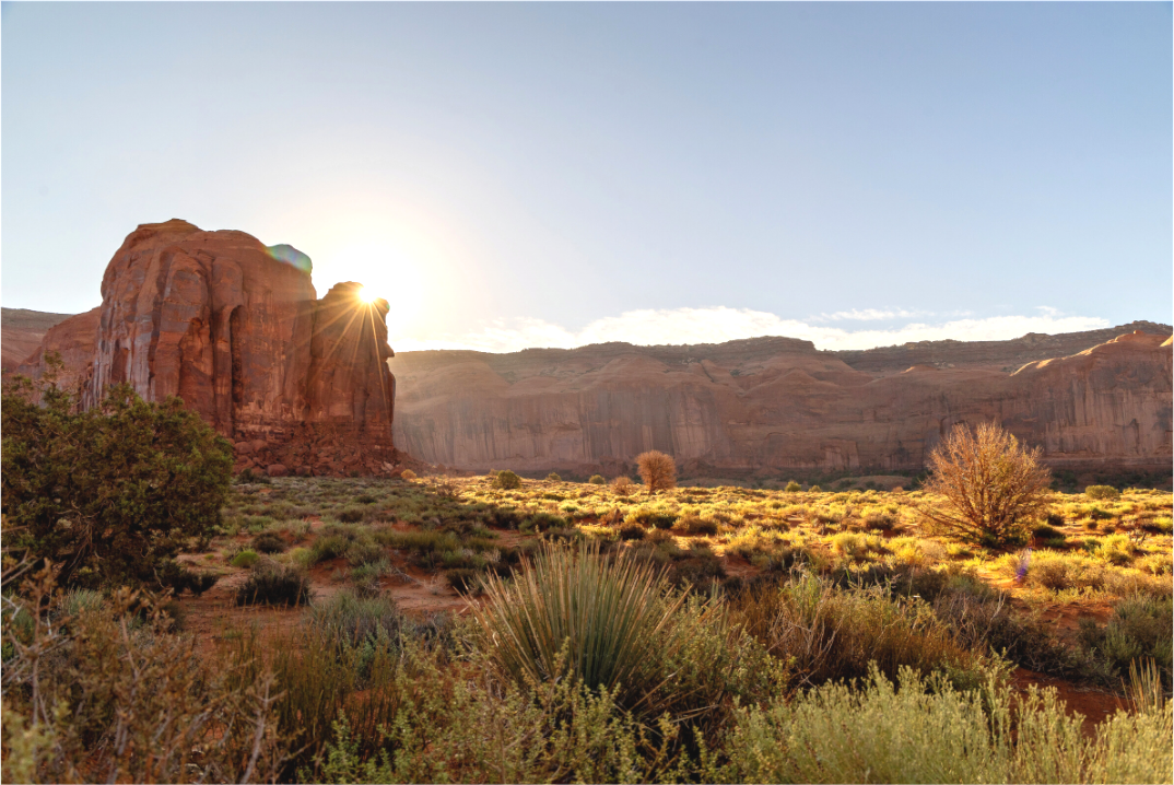 Main image Mesa