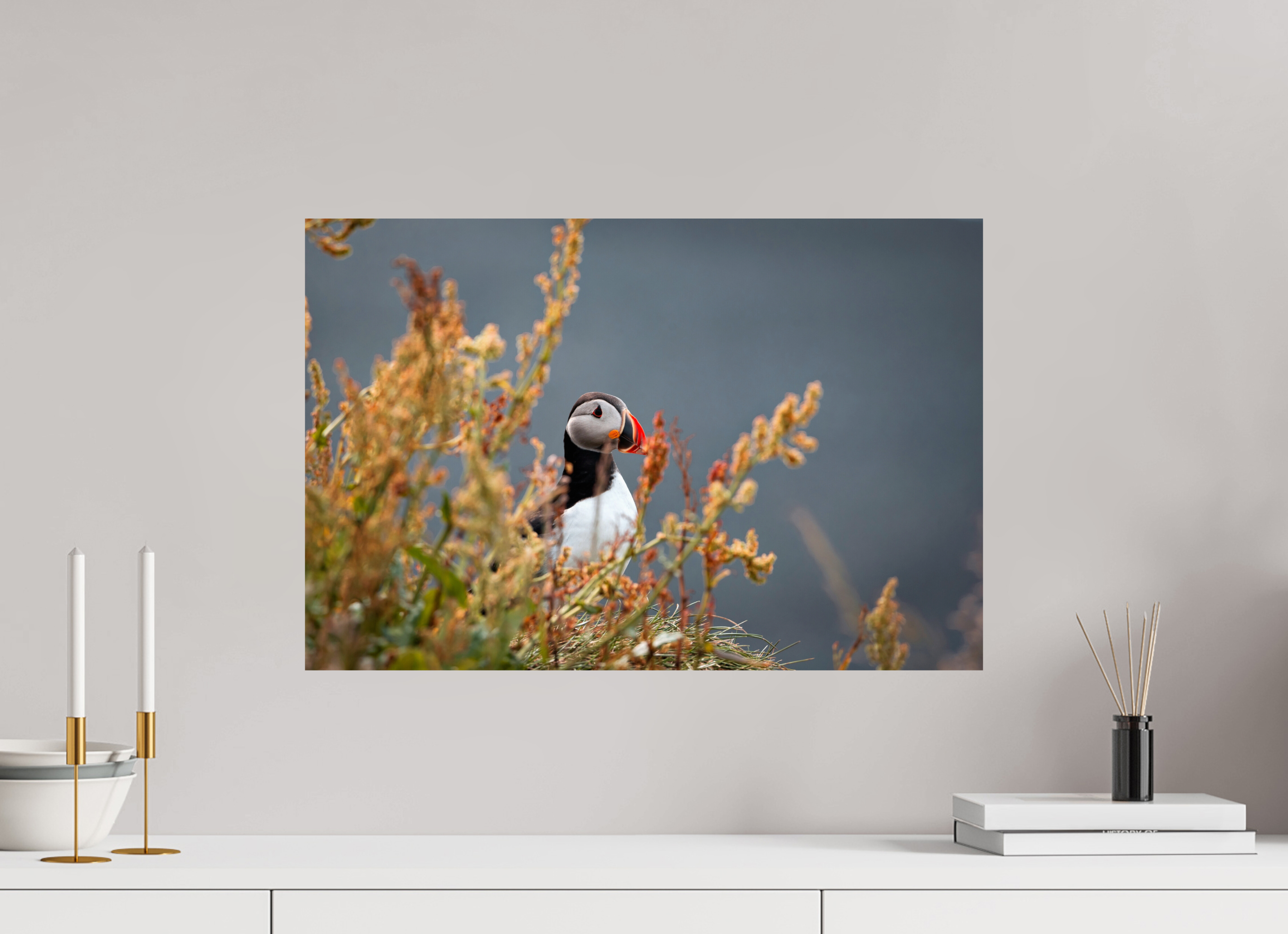 60 x 40 cm, Impression sur papier Fuji Crystal Macareux 2