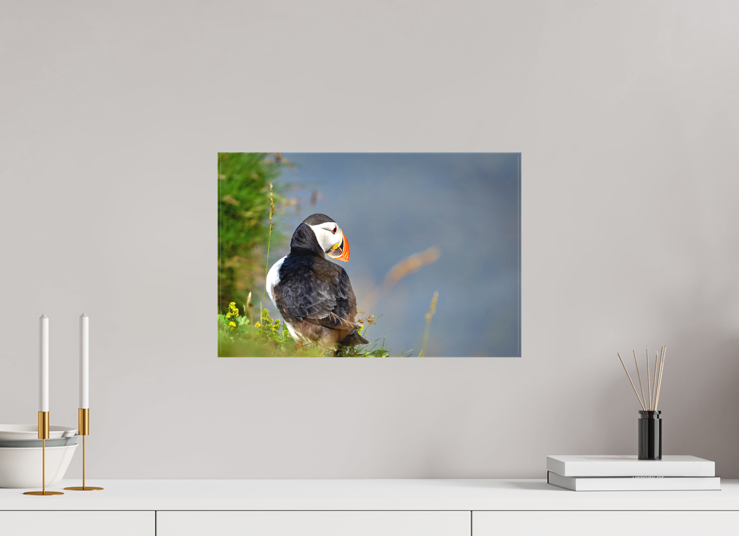 45 x 30 cm, Photo sur toile mate Macareux