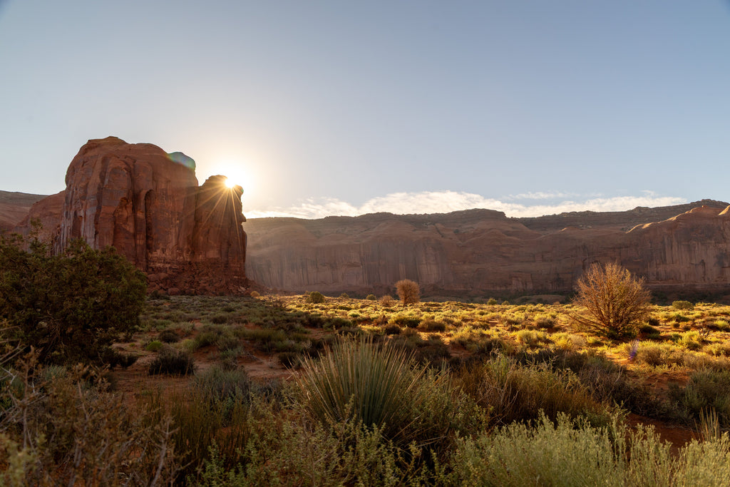 Mesa
