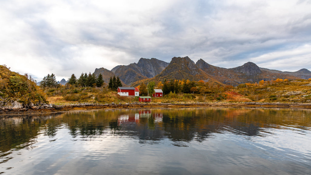 Arctic Panorama