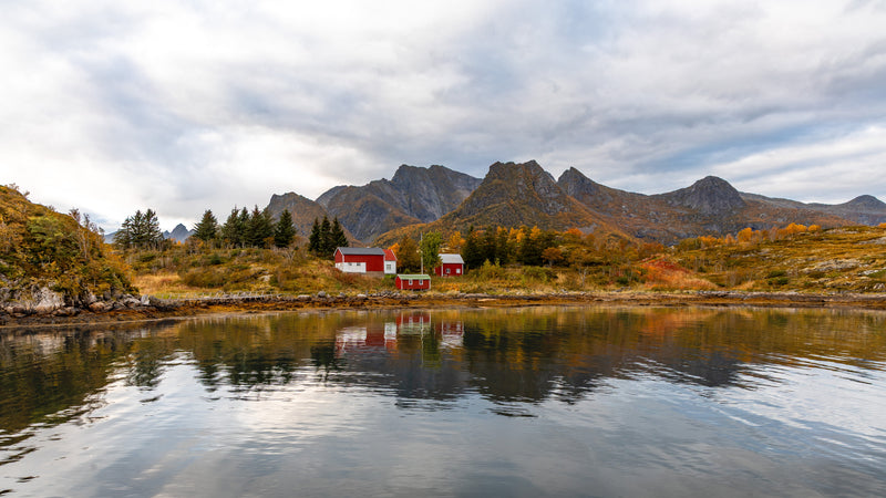 Arctic Panorama