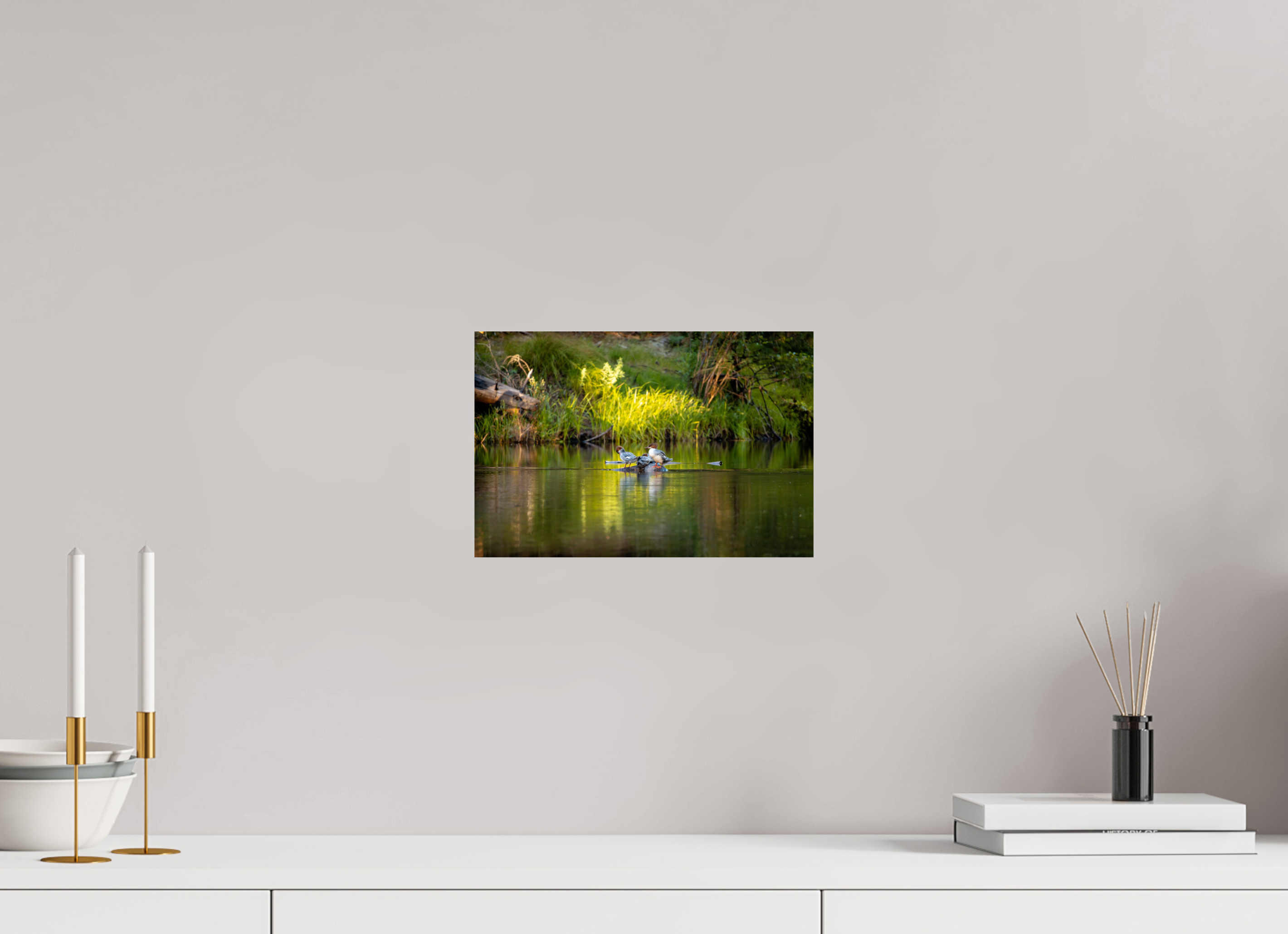 30 x 20 cm, Photo Print On Fuji Crystal DP II Mergus