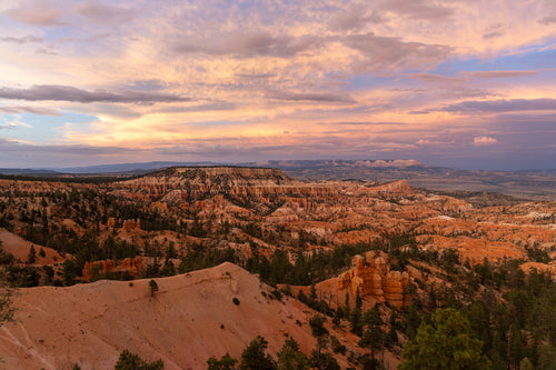 Les hoodoos orange de Bryce Canyon sous un ciel rose au crépuscule, Utah, USA
