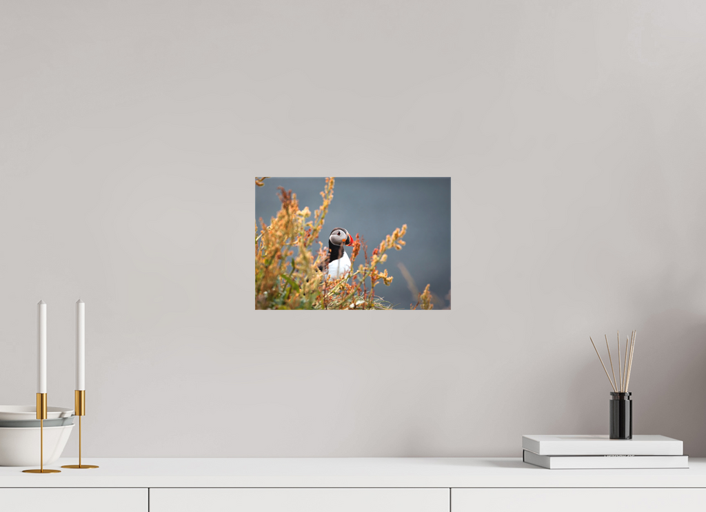 30 x 20 cm, Macareux Macareux 2