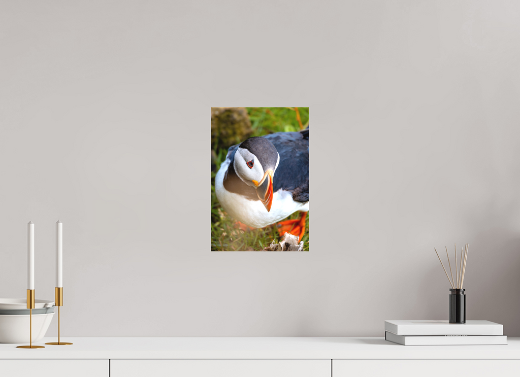 20 x 30 cm, Cadre simple Matte on Stretcher Frame Portrait de Macareux