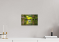 30 x 20 cm, Cadre simple Matte on Stretcher Frame Mergus