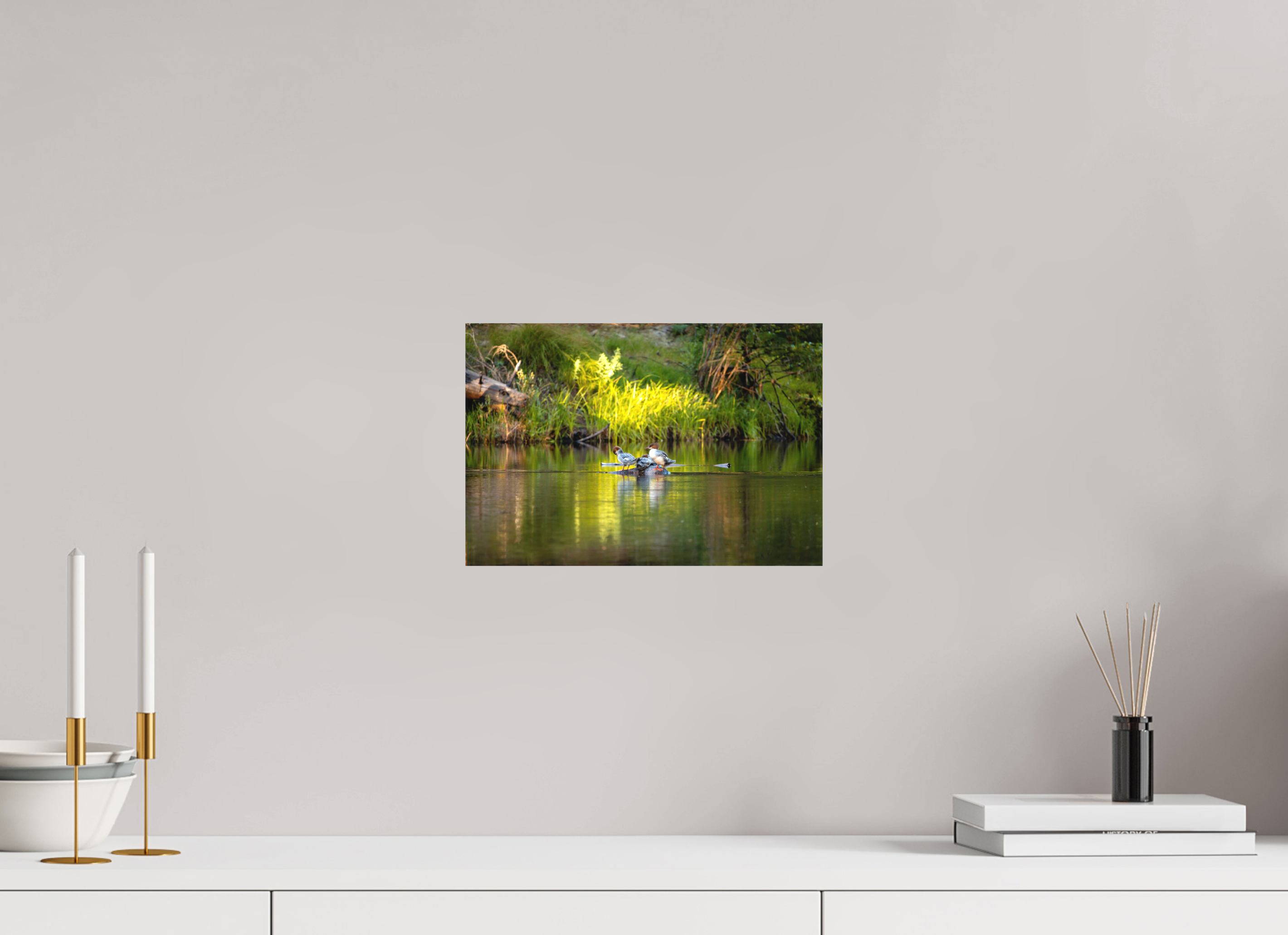 30 x 20 cm, Cadre simple Matte on Stretcher Frame Mergus