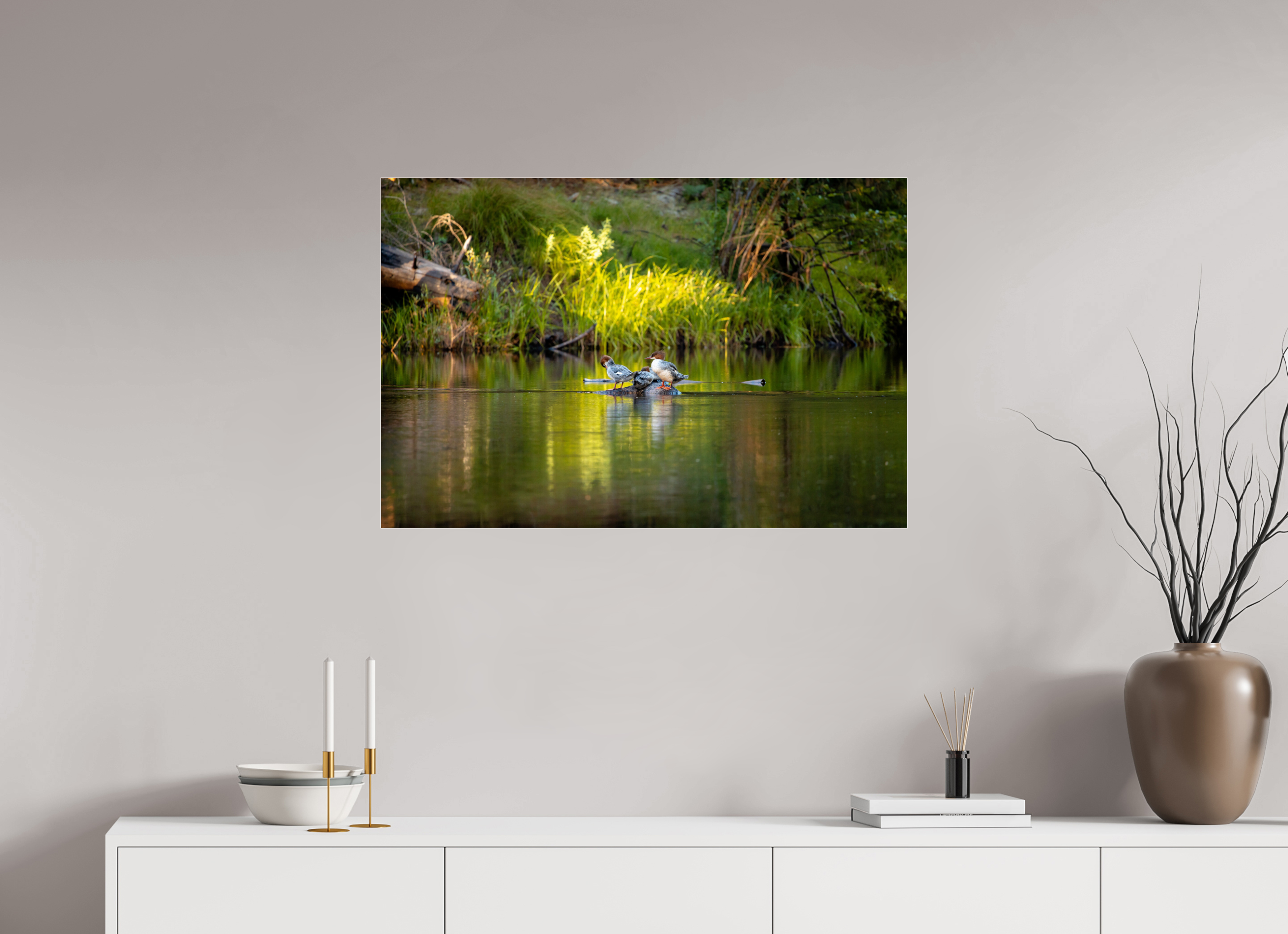 90 x 60 cm, Acrylic Glass Mergus